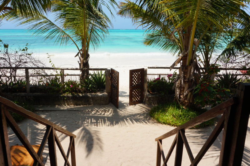 Exclusive 14-Day Tanzania Safari
